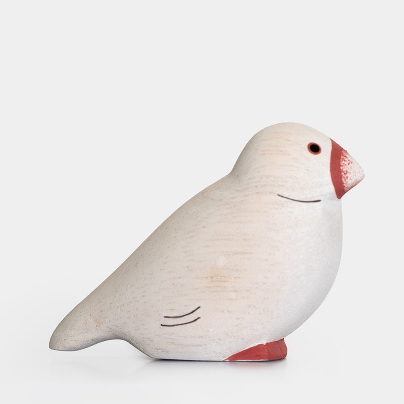 T-Lab./ Polepole Kotori/ Java sparrow