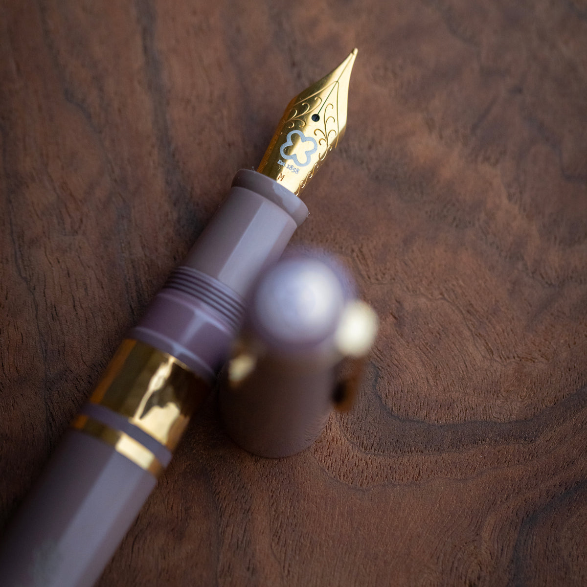 Model J Violet Ebonite with Gold trim - Fine
