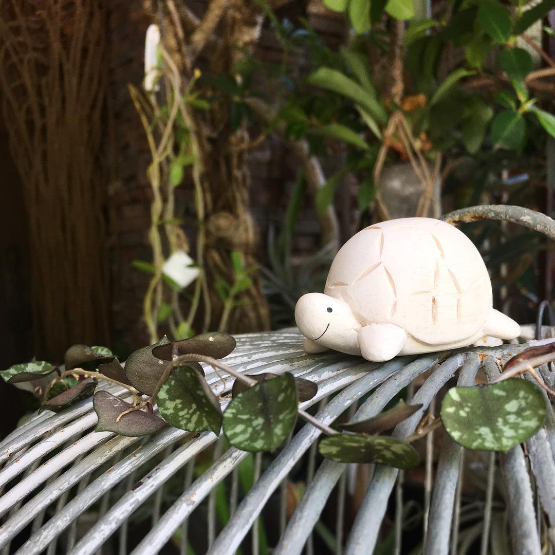 Pole pole wooden animal Turtle