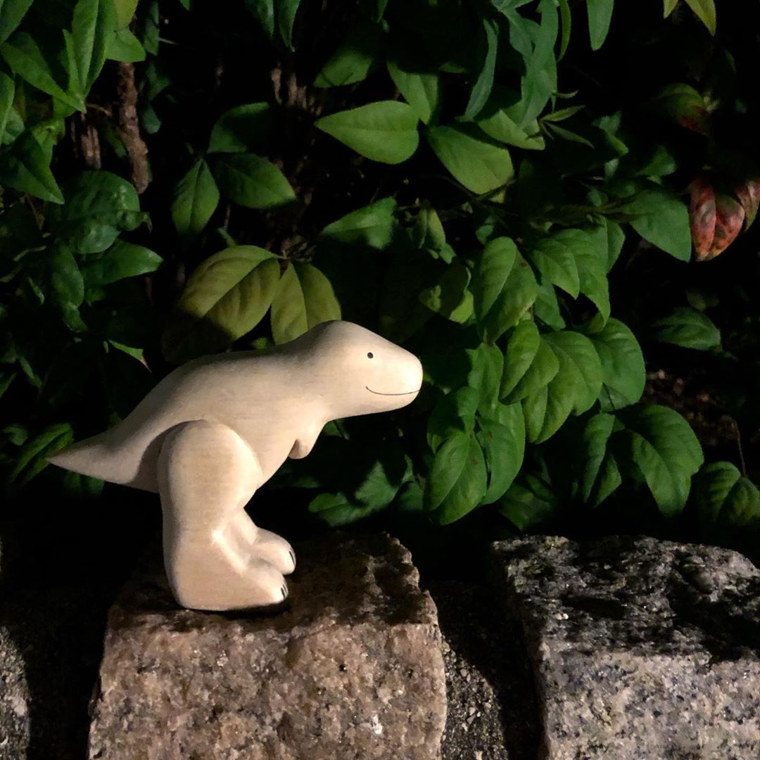 Polepole Dinosaur/ Tyrannosaurus