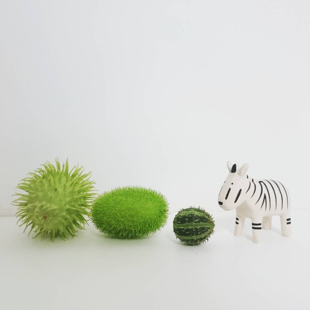 Pole pole wooden animal Zebra