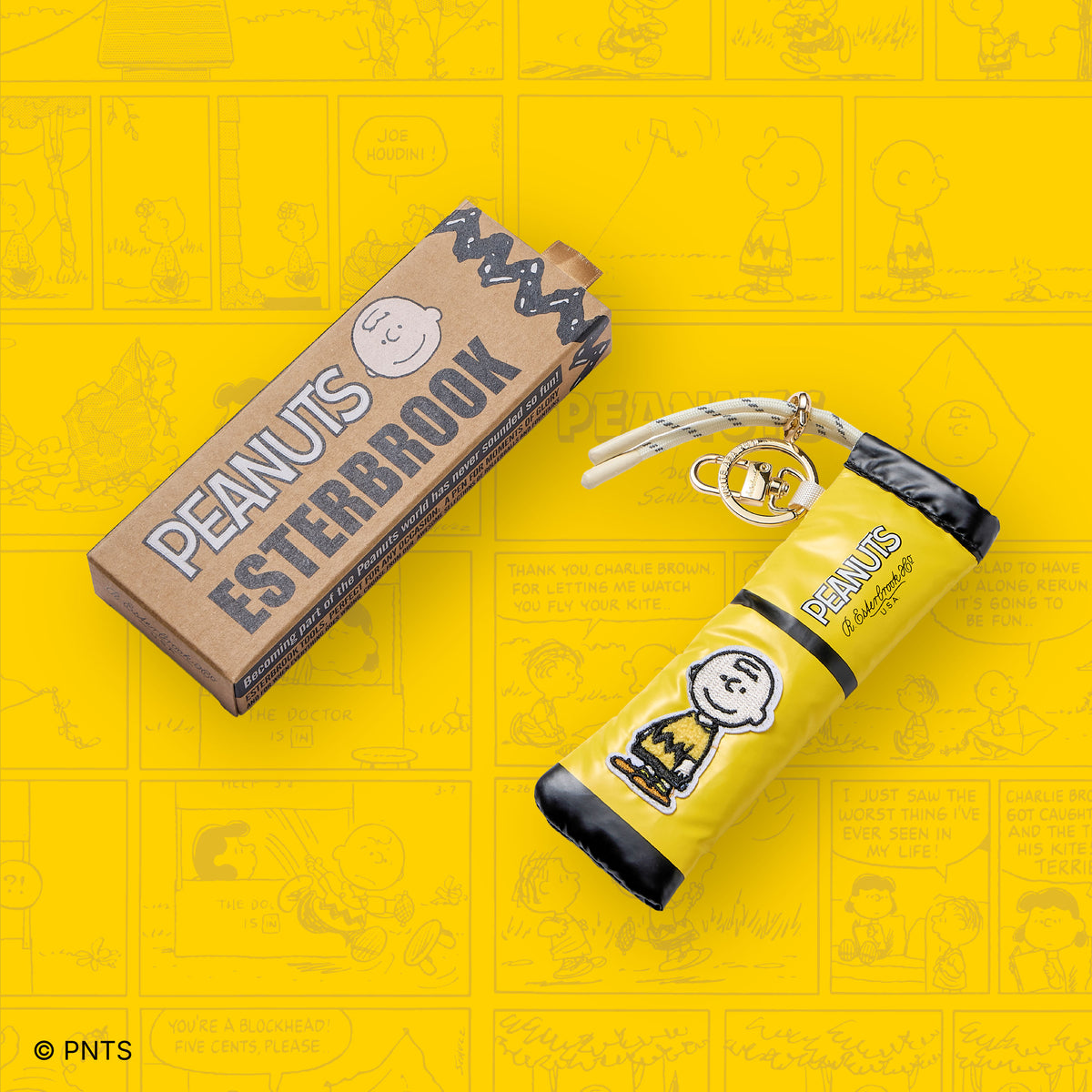 Peanuts Pen Case Charlie Brown Edition