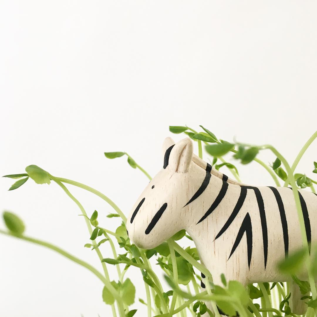 Pole pole wooden animal Zebra