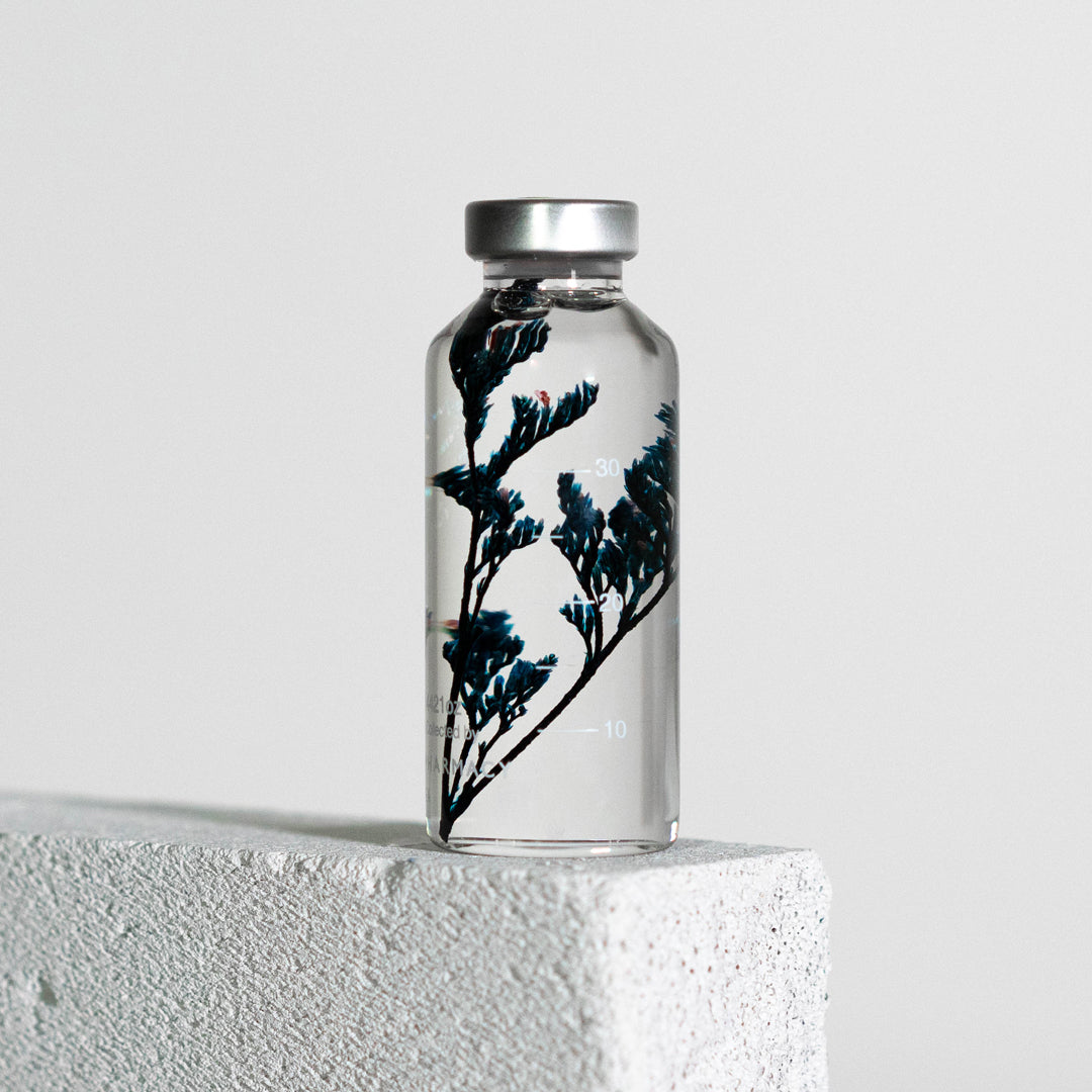 Bottle Plant / Limonium tetragonum / SPS_016