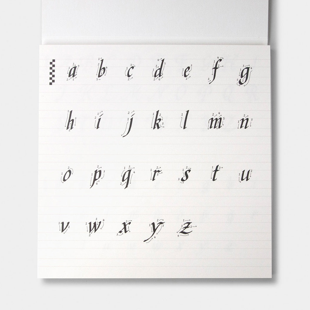 Calligraphy Practice Notebook / Chancery Cursive