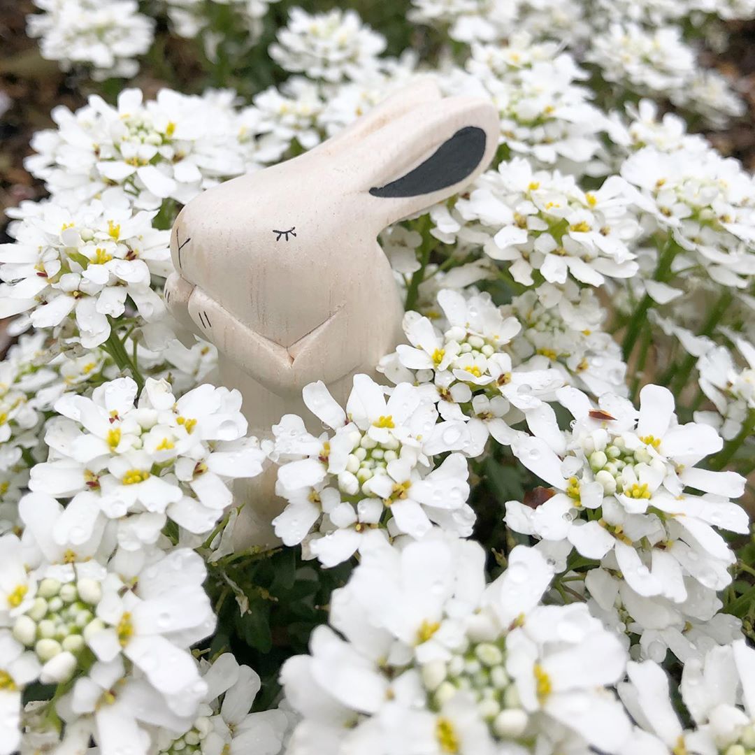 Pole pole wooden animal Rabbit