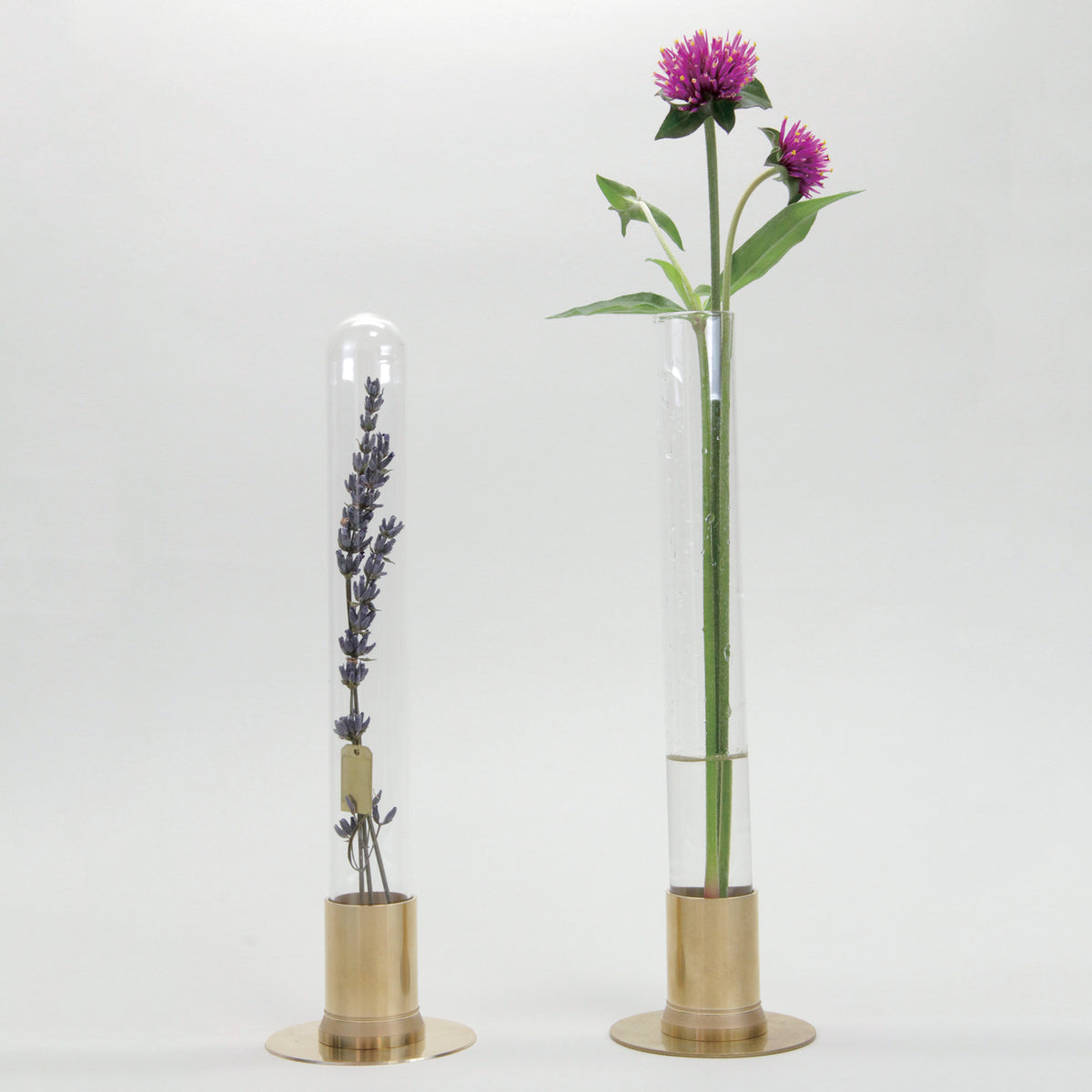 HERBARIUM BRASS GLASS DOME & FLOWER VASE SOLID