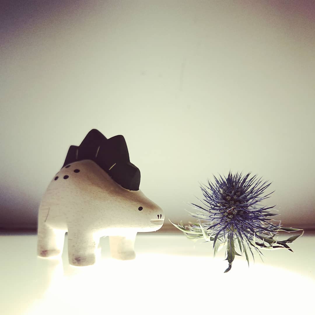 Polepole Dinosaur/ Stegosaurus