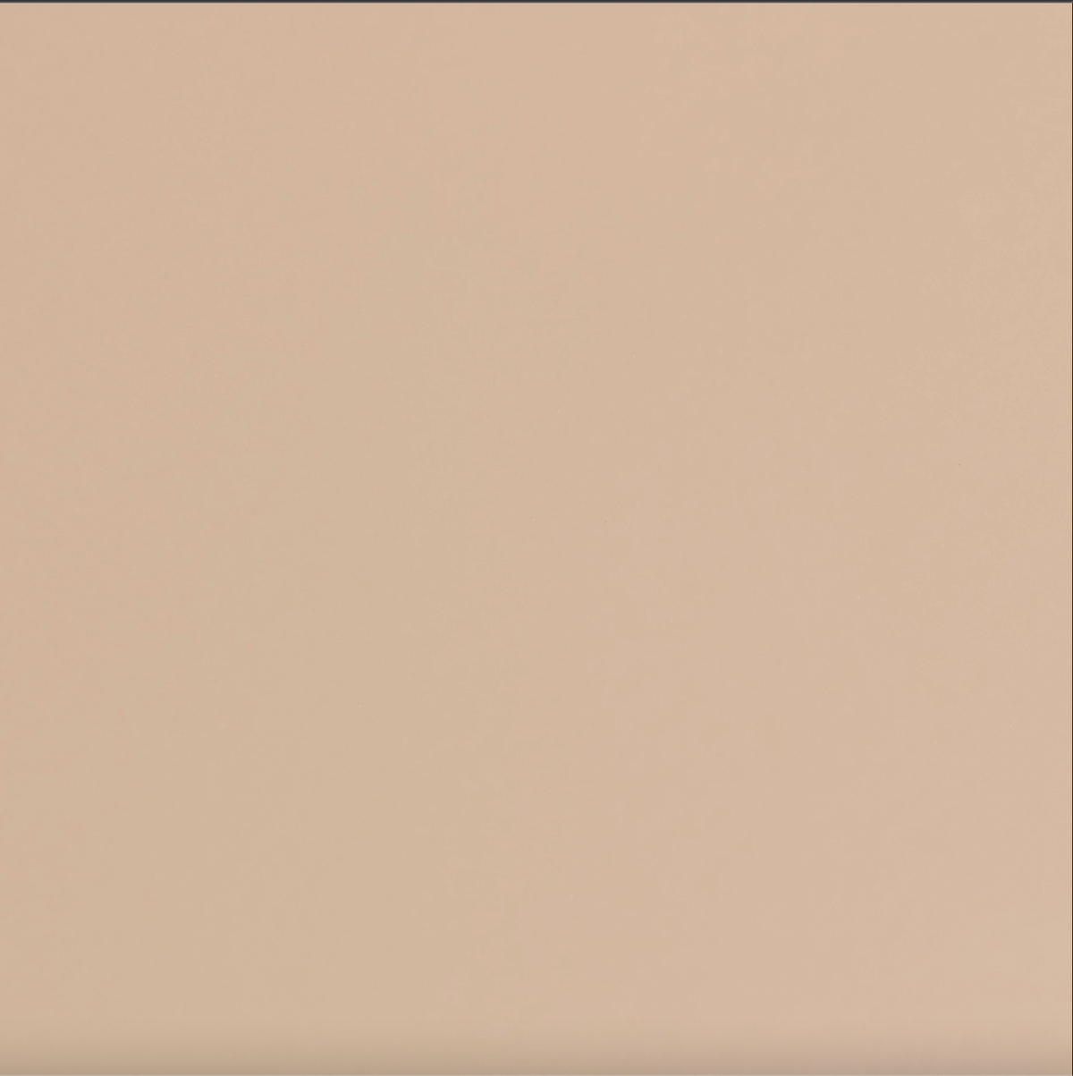 TOYO STEEL ST 350 BEIGE
