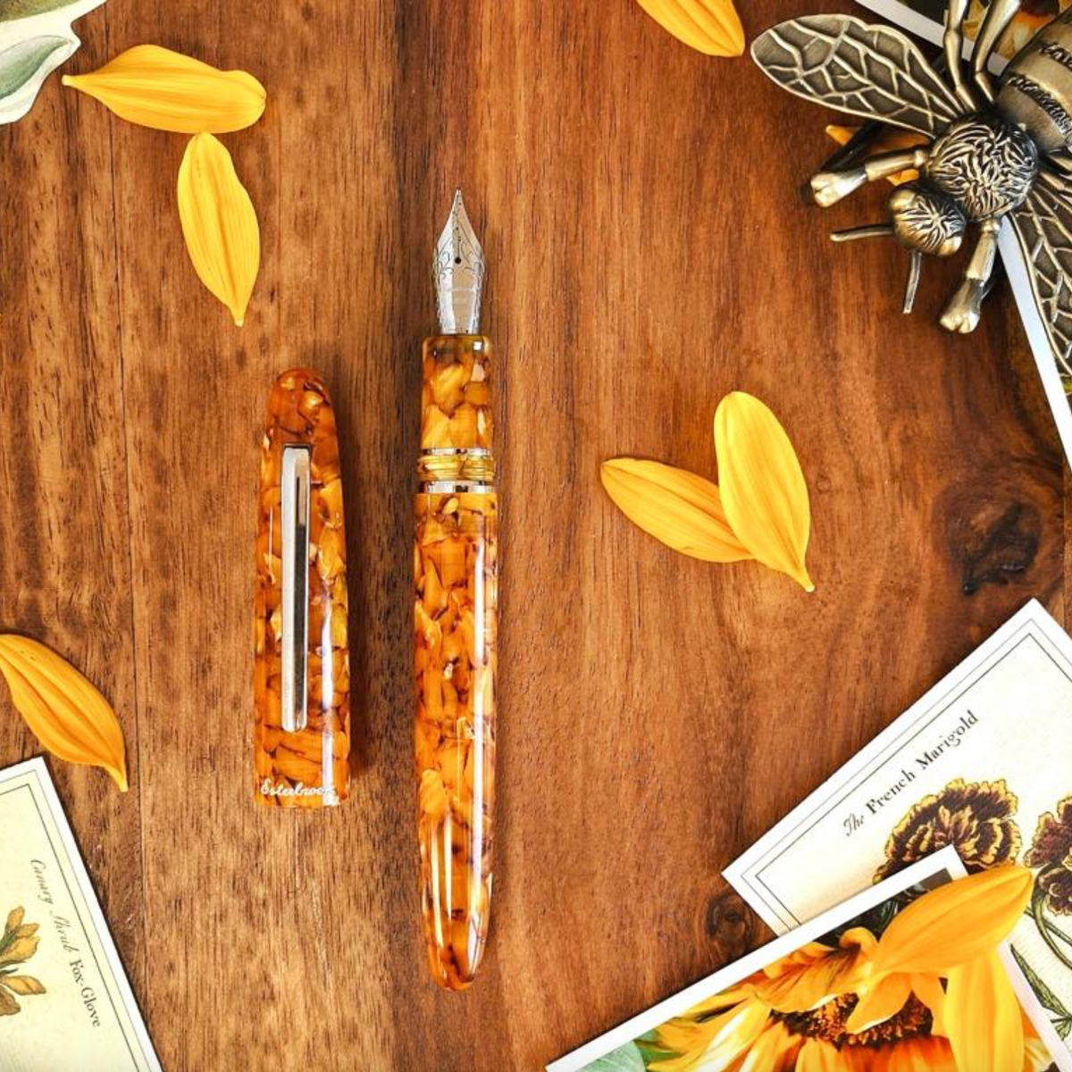 Estie honeycomb - gold trim fountain pen