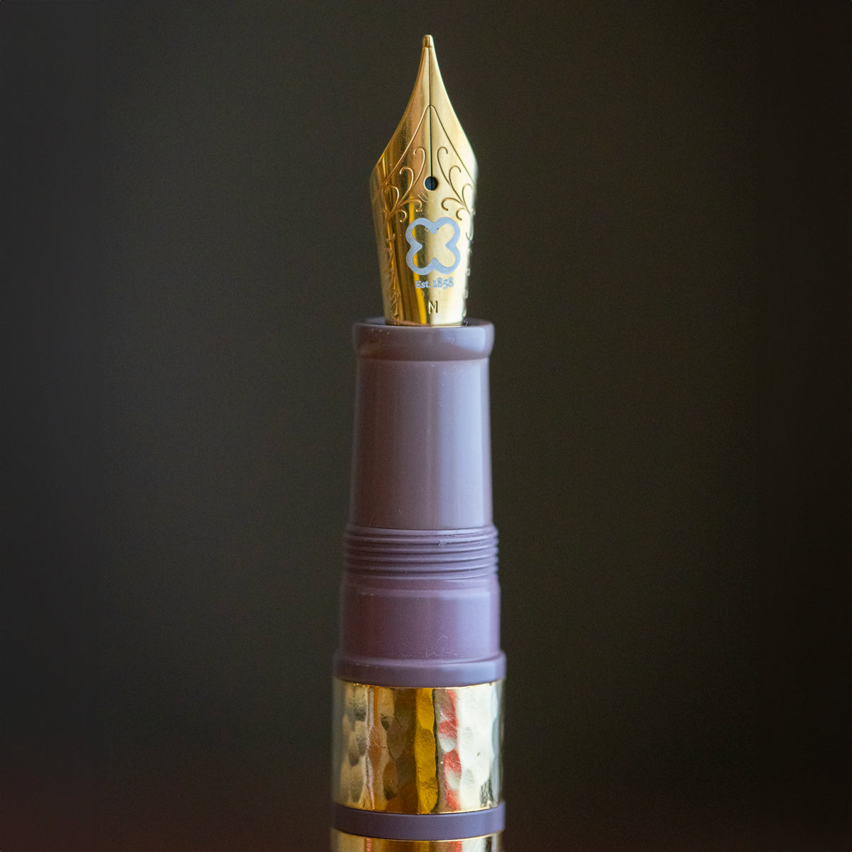 Model J Violet Ebonite with Gold trim - Medium