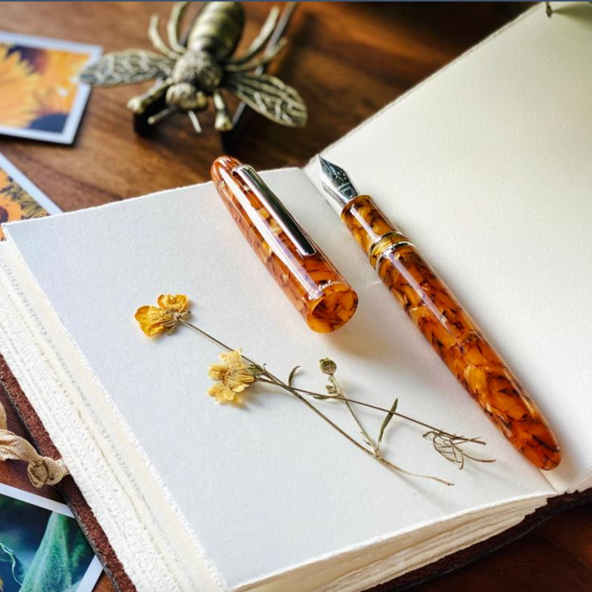 Estie honeycomb - gold trim fountain pen