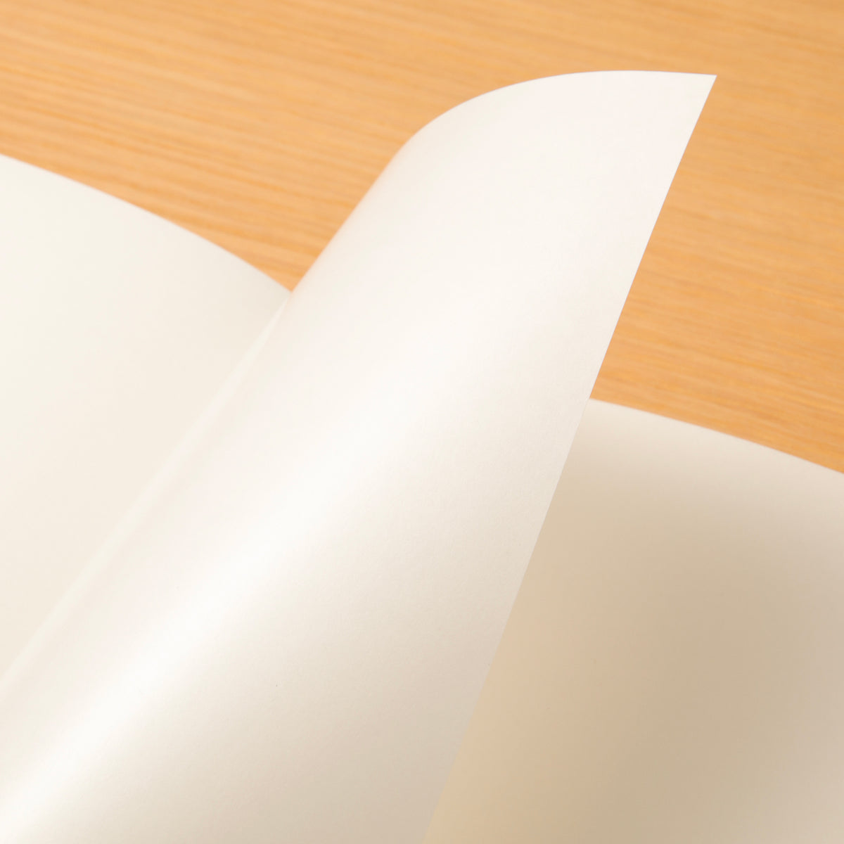 TRAVELER’S notebook Refill Sticker Release Paper