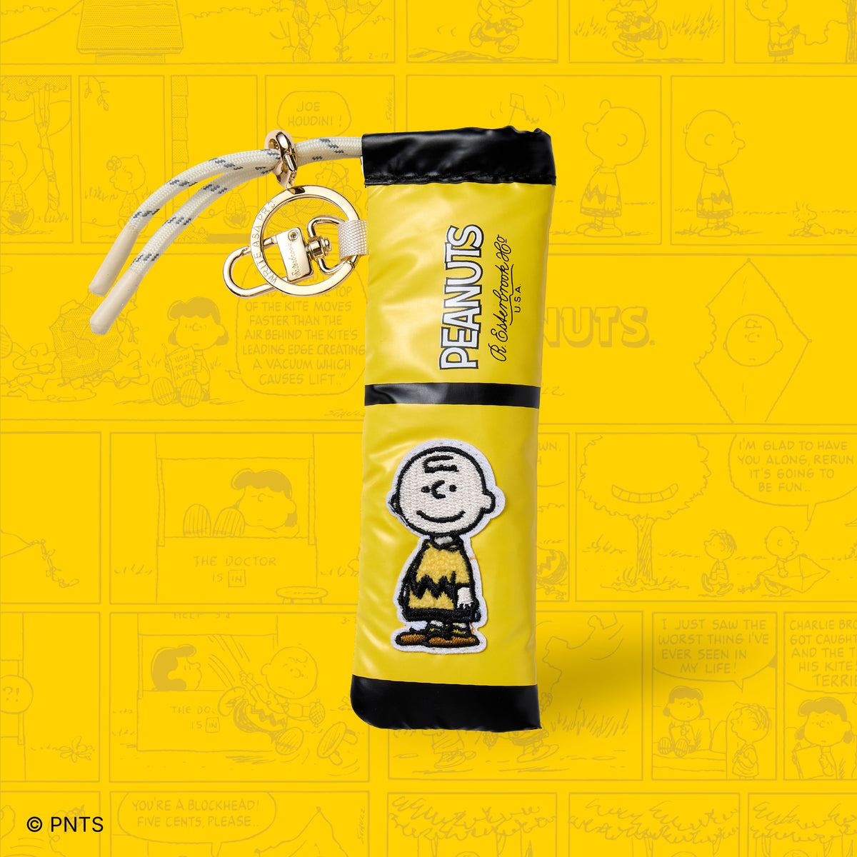 Peanuts Pen Case Charlie Brown Edition