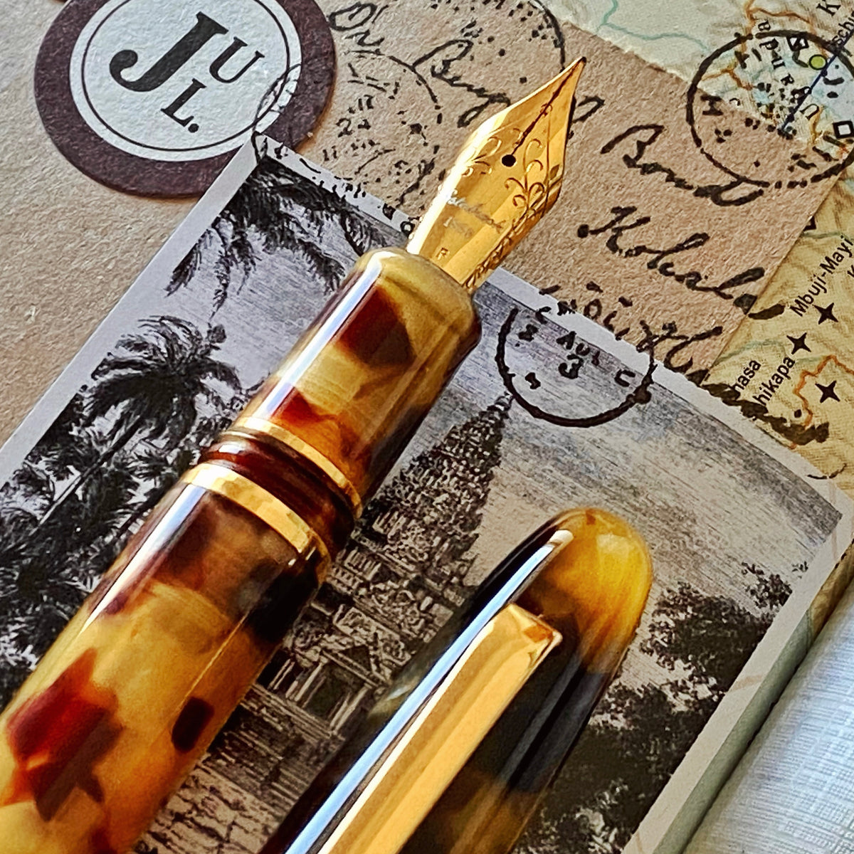 Estie tortoise - Gold Trim fountain pen