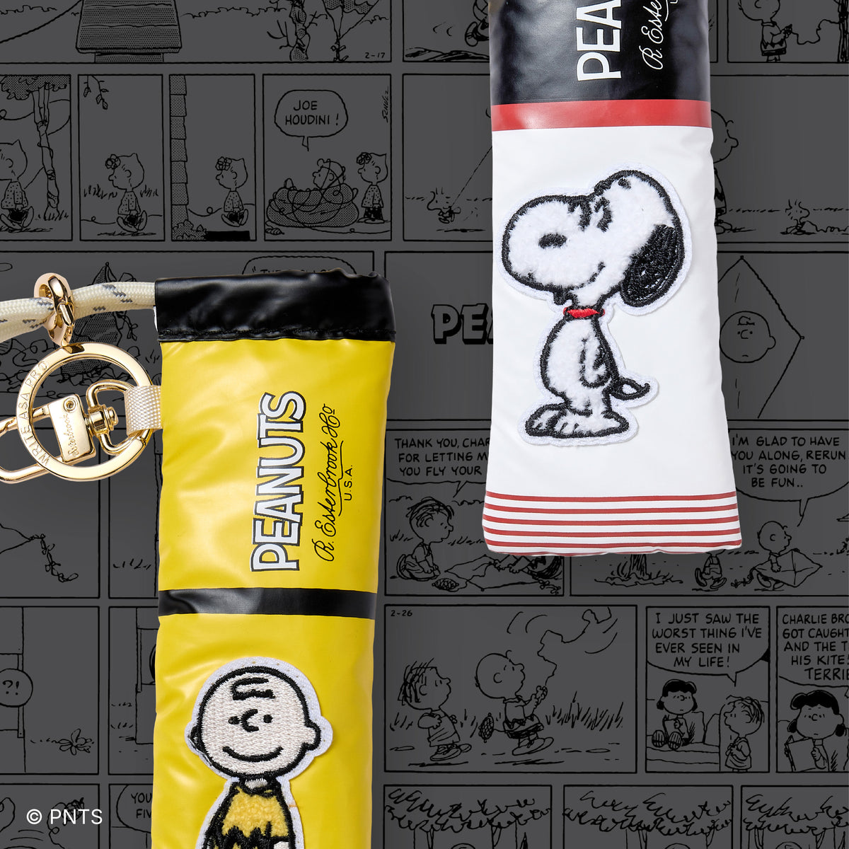 Peanuts Pen Case Charlie Brown Edition