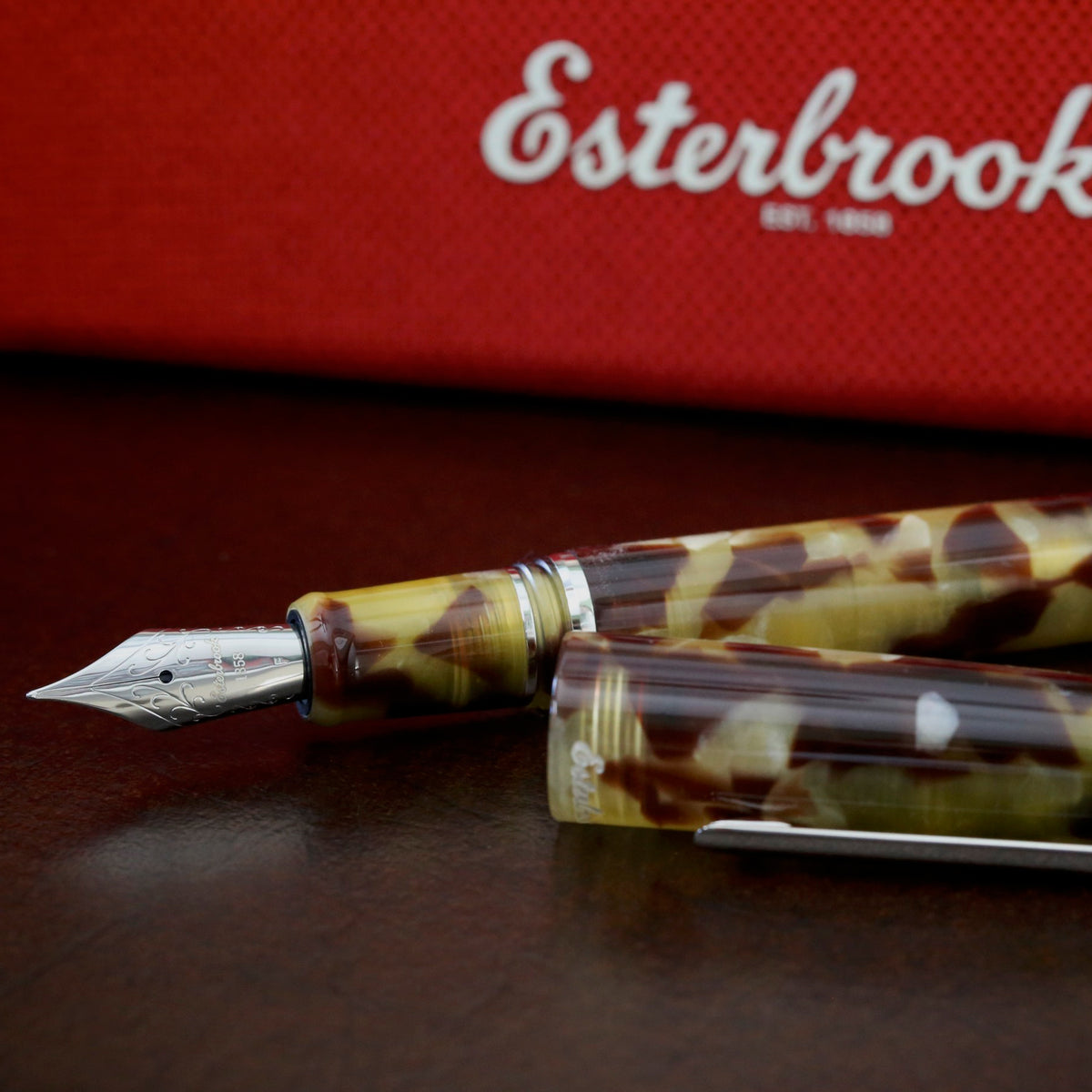 Estie tortoise - Gold Trim fountain pen
