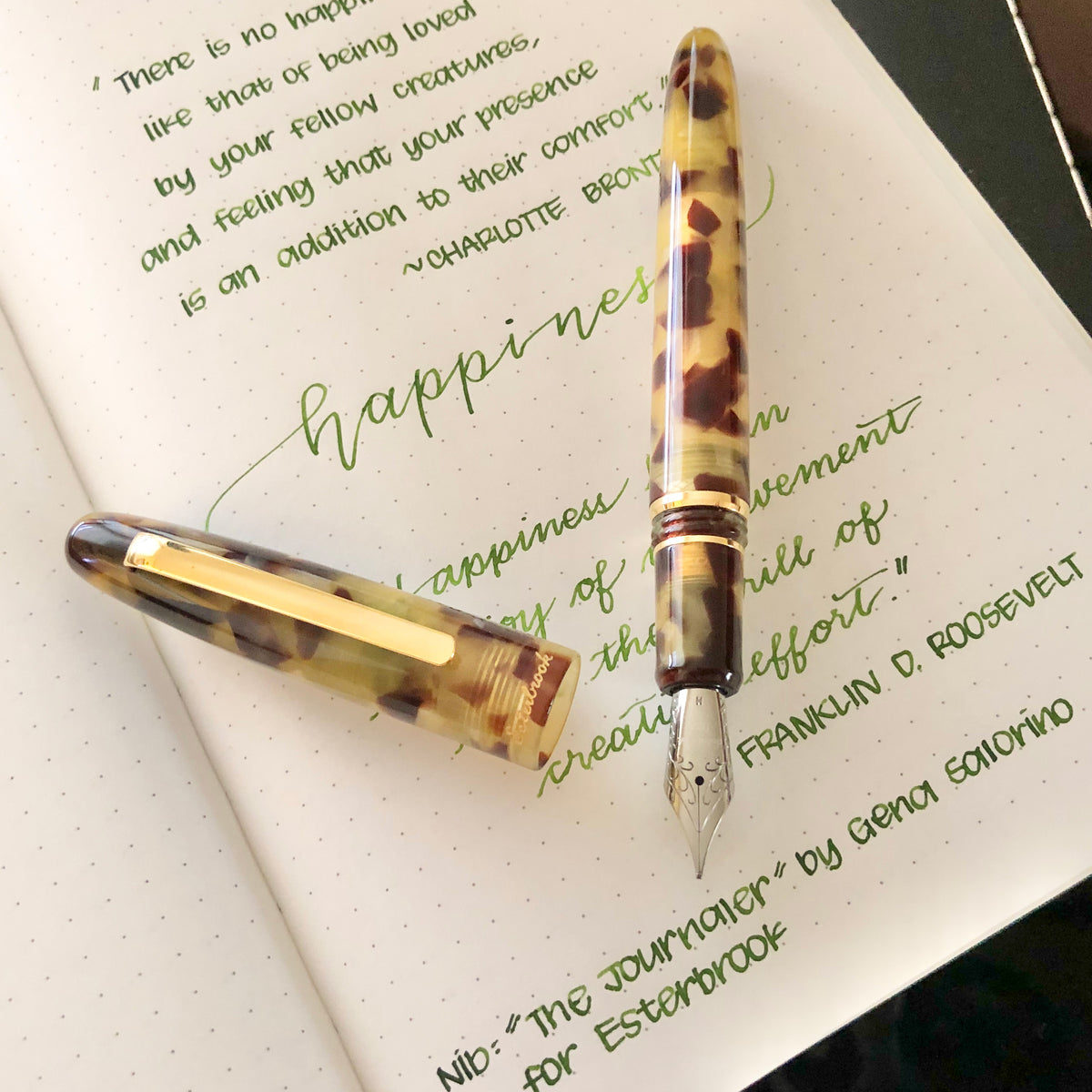 Estie tortoise - Gold Trim fountain pen