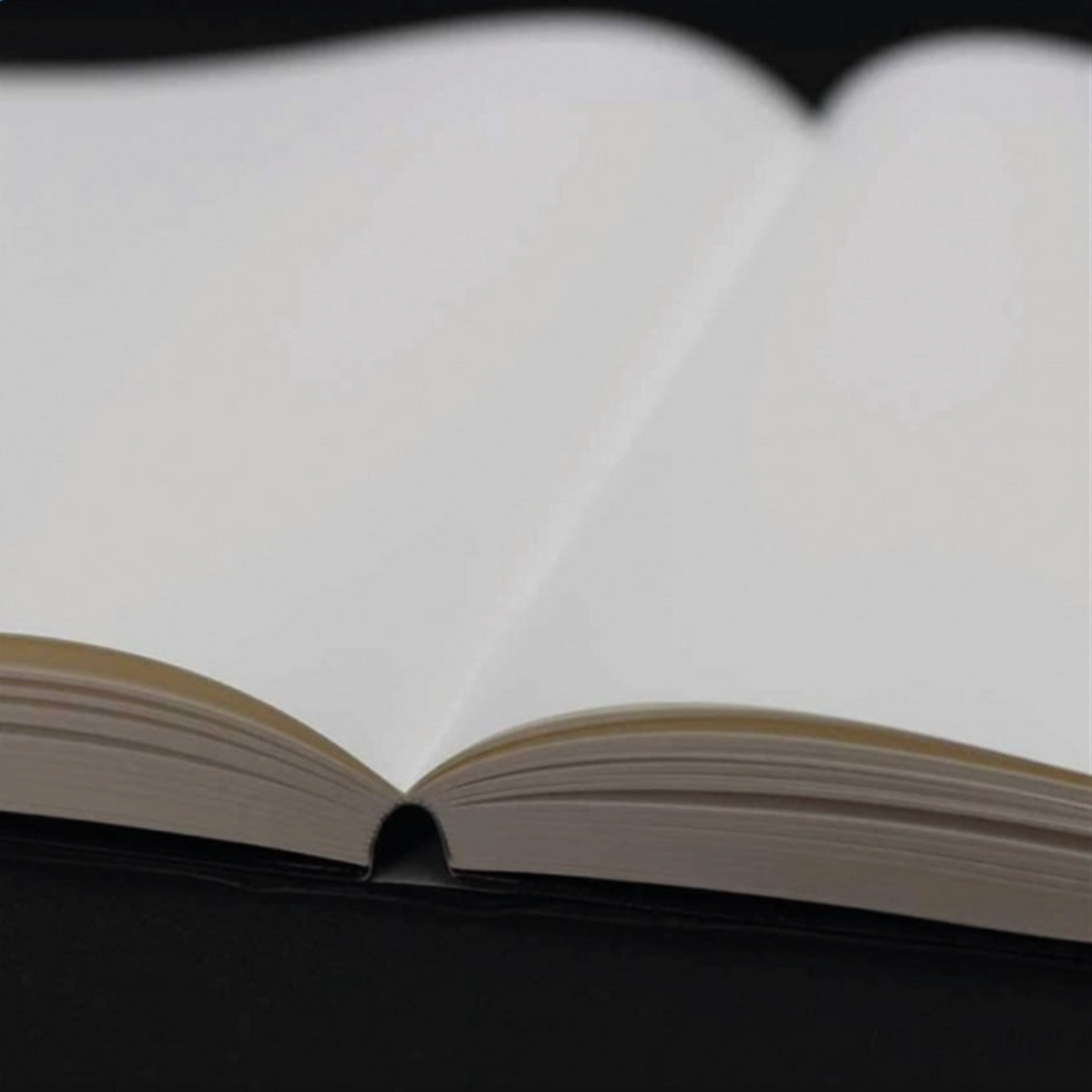Tomoeriver Notebook hardcover Plain / A5 / White / 52 g/m2