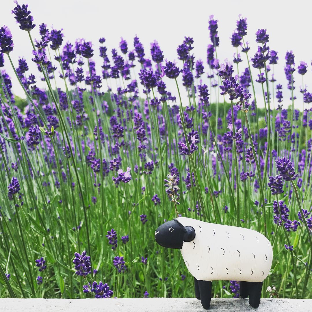 Pole pole wooden animal Sheep