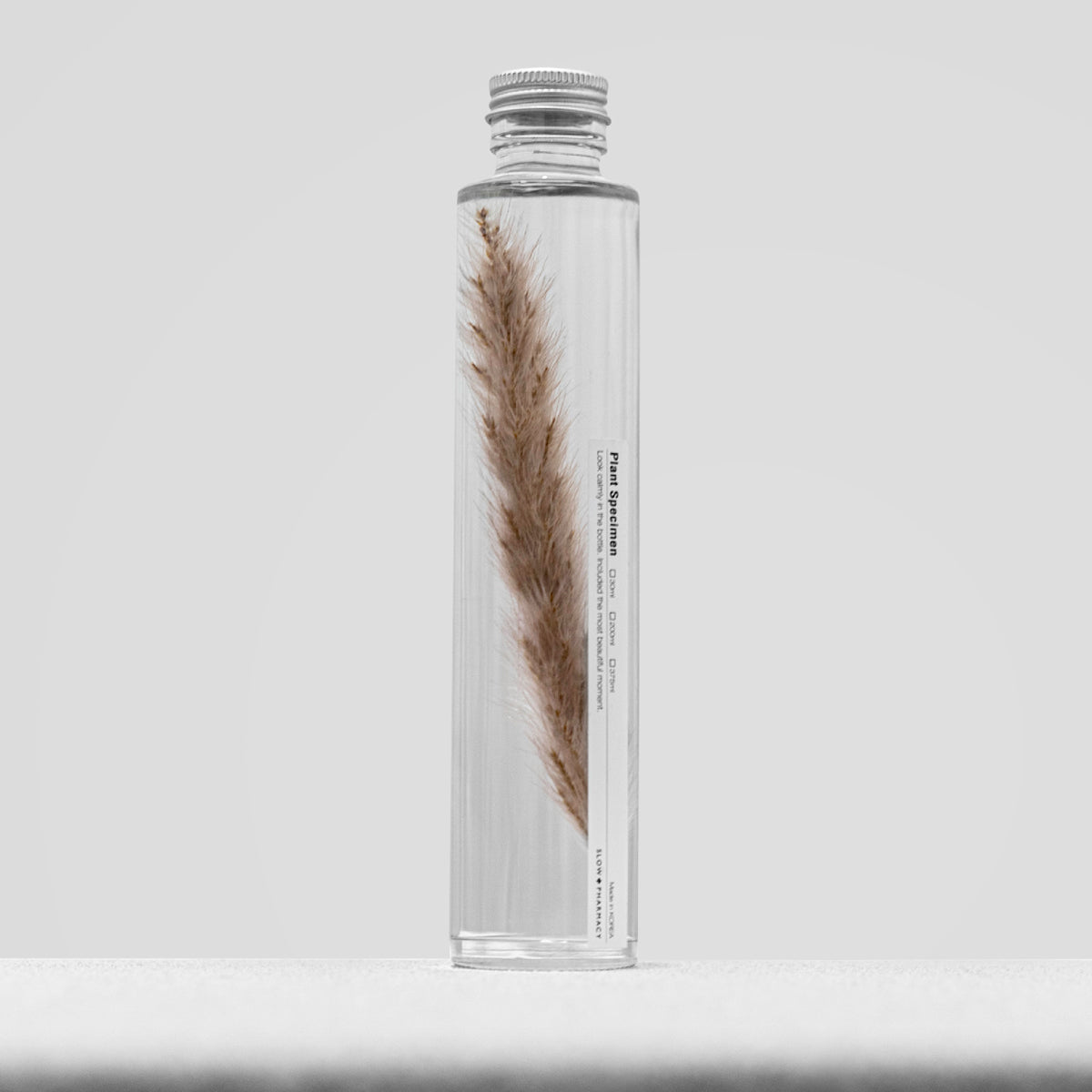 Bottle Plant / Fountain grass / SPM_026